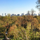 Illustration for article titled Submit your pre-432 Park photos!